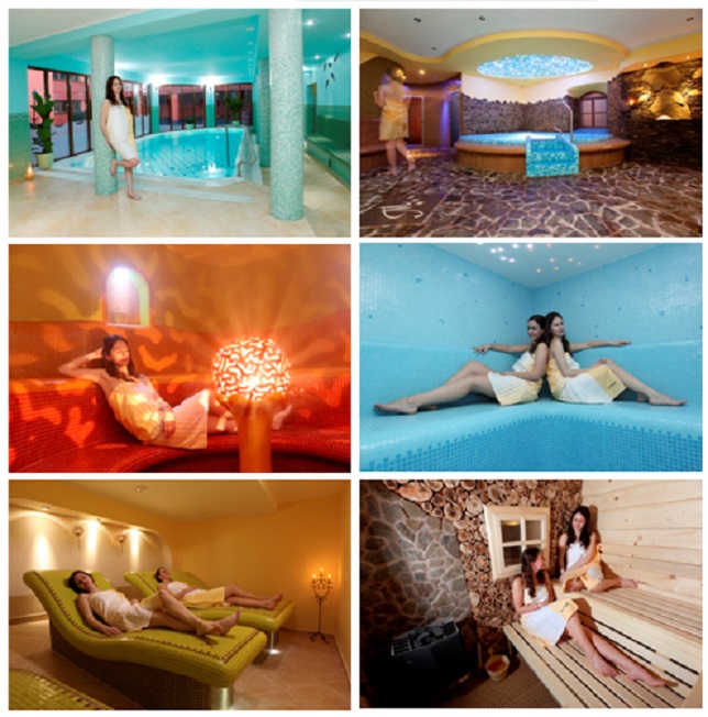 Wellness Experience