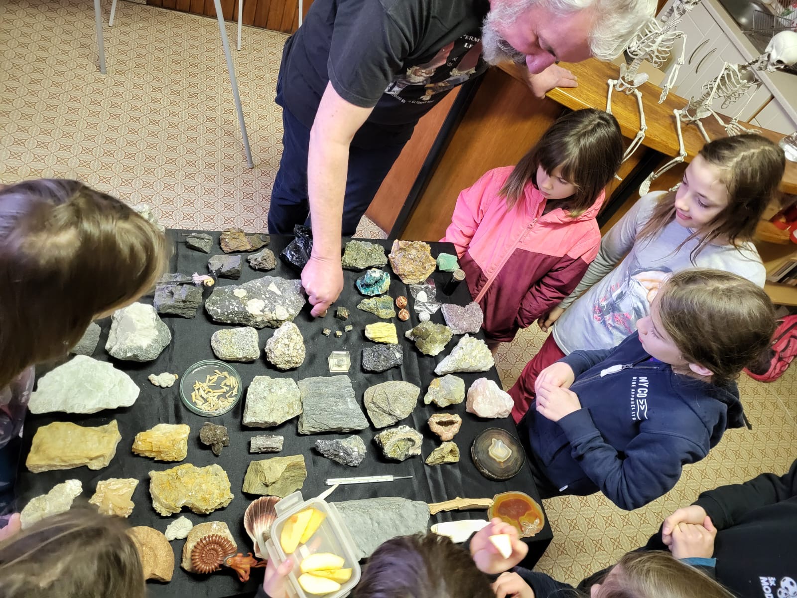 Zvedárňa Hravá geológia, Piešťany, 12.10.2024
