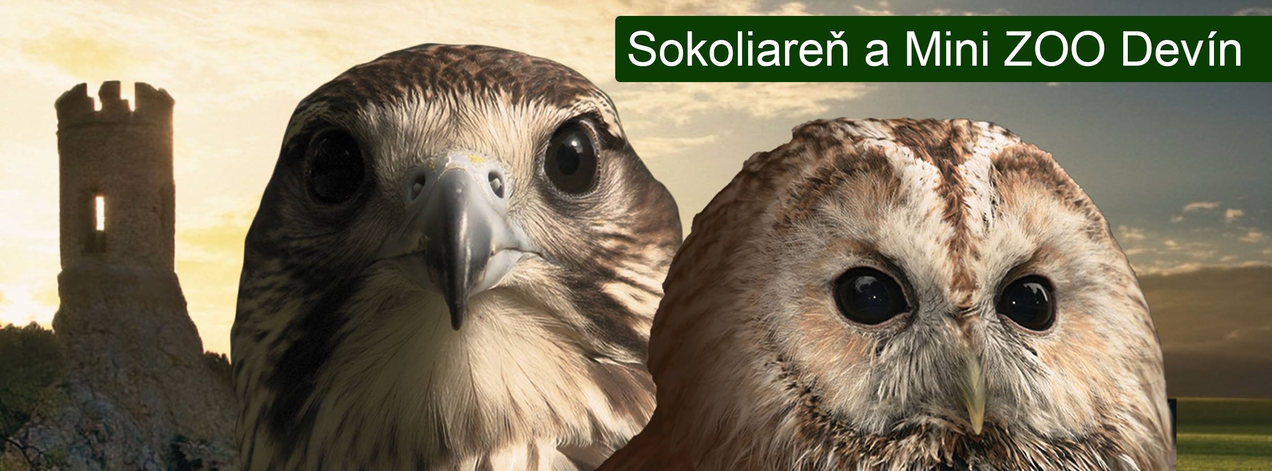 Nový poskytovateľ- Sokoliareň a Minizoo Devín