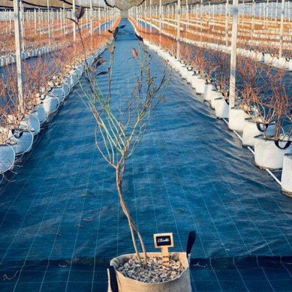 Nový poskytovateľ- Berry Farm- Stupava