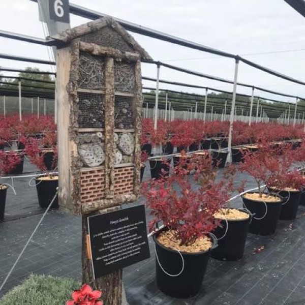 Nový poskytovateľ- Berry Farm- Stupava
