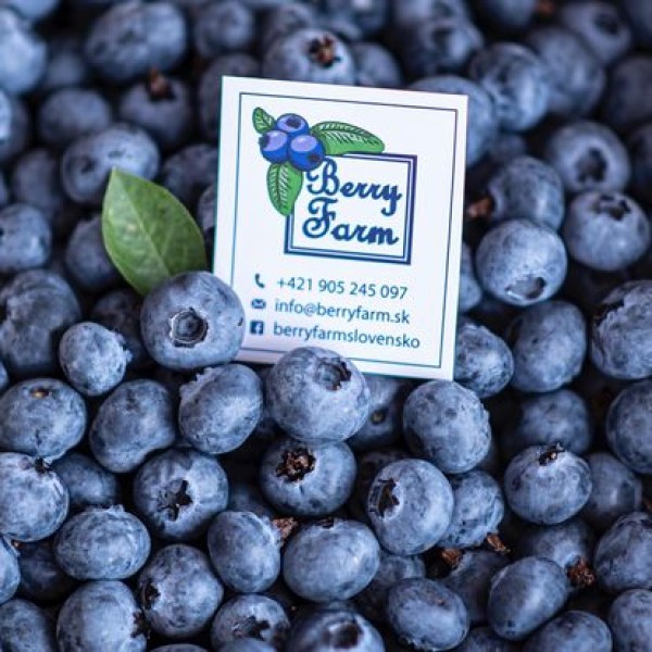 Nový poskytovateľ- Berry Farm- Stupava
