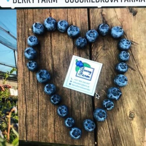 Nový poskytovateľ- Berry Farm- Stupava
