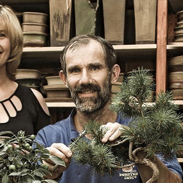 Bonsai Slovakia- Čajovňa dobrých ľudí