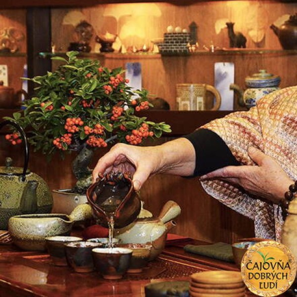 Bonsai Slovakia- Čajovňa dobrých ľudí