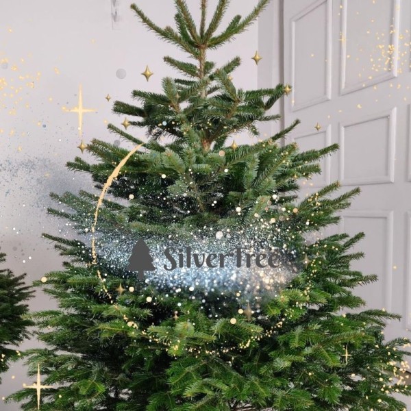 Adventný kalendár- okienko č.4