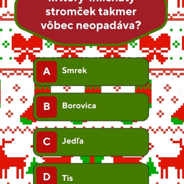 Adventný kalendár- okienko č. 11