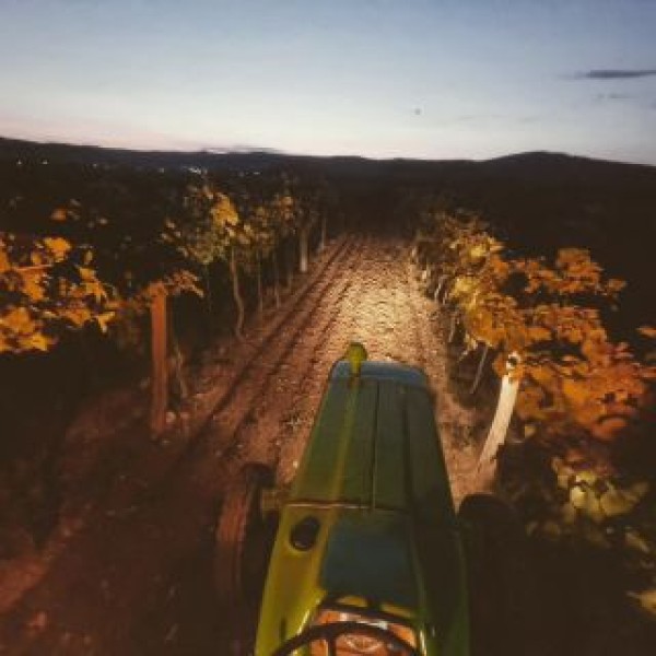Nový poskytovateľ- Vinárstvo Merlaj