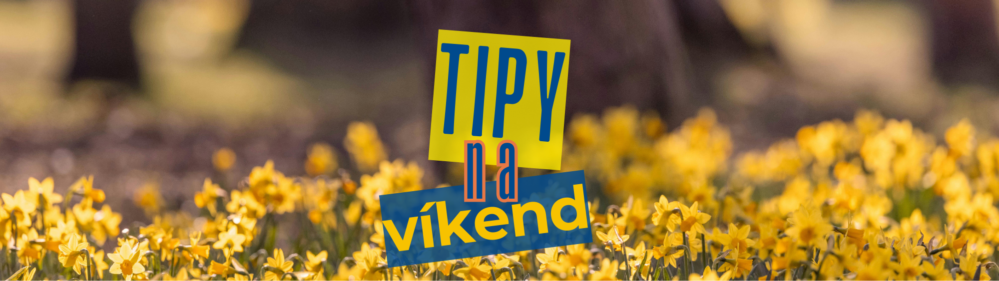 Tipy na víkend
