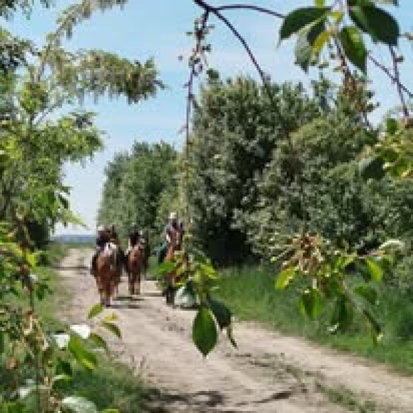 Nový poskytovateľ- Jazdecká škola Equitour