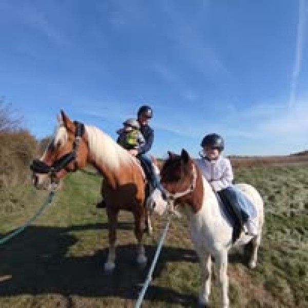 Nový poskytovateľ- Jazdecká škola Equitour