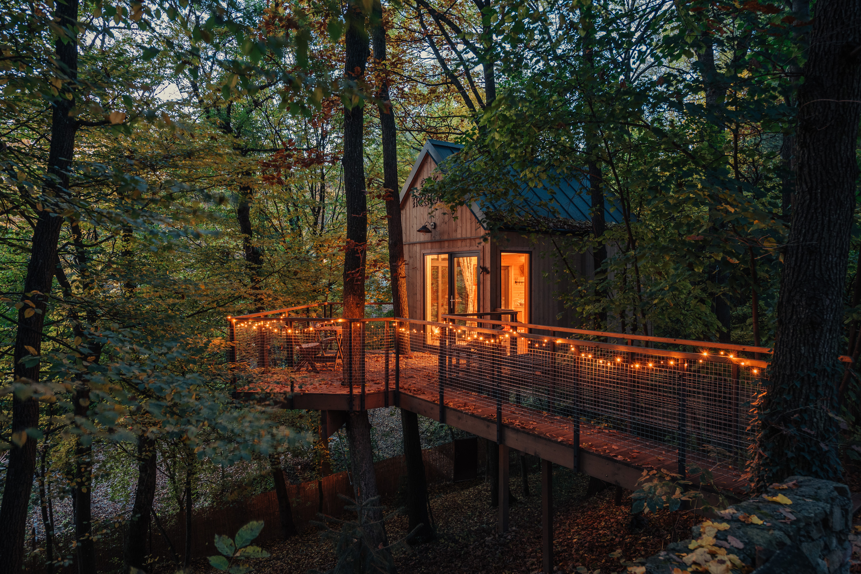 OAKTREEHOUSE